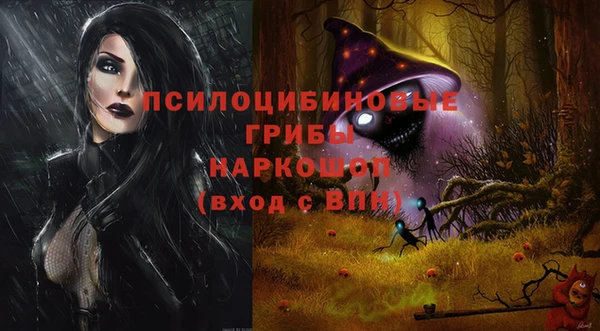 соль ск Алзамай